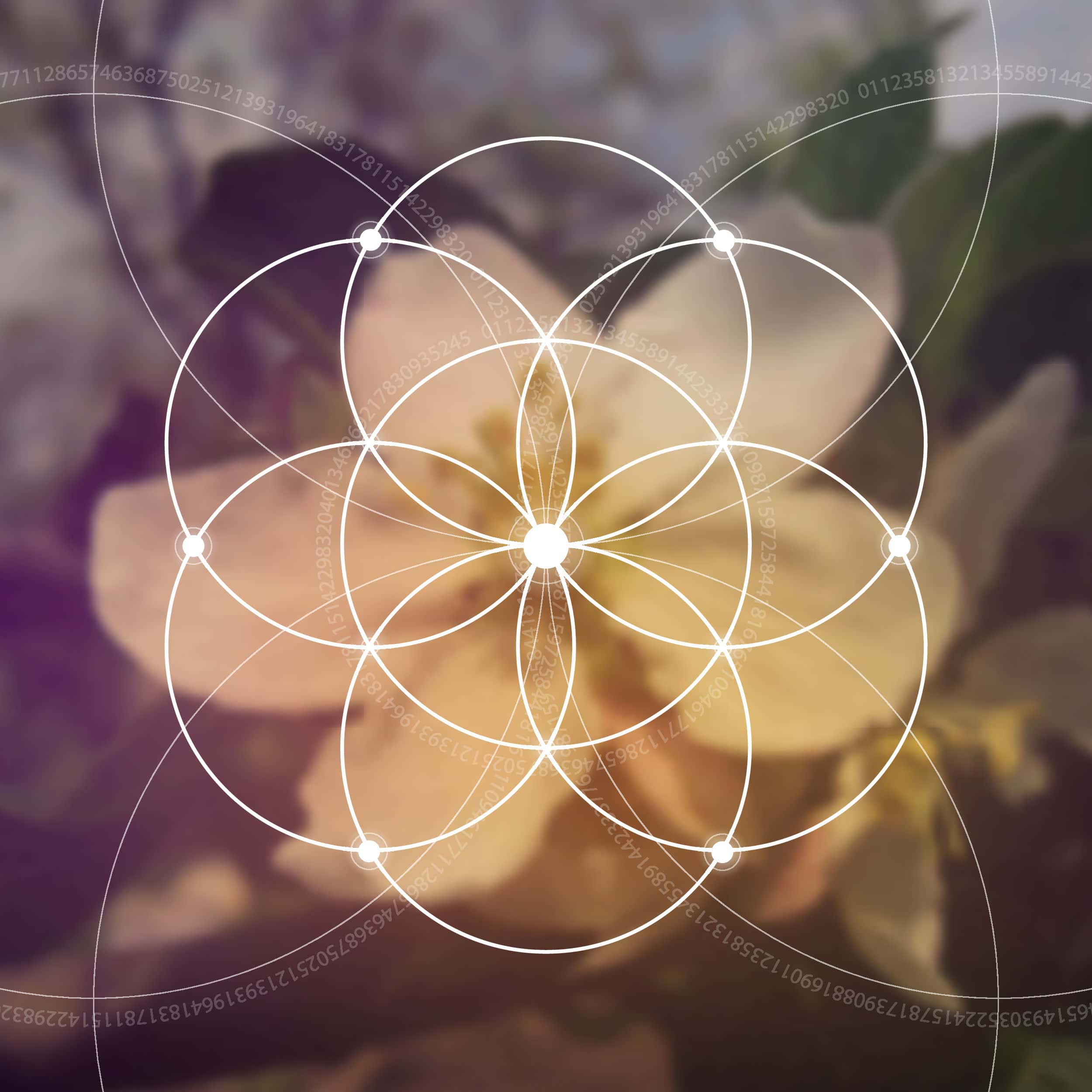 sacred geometry