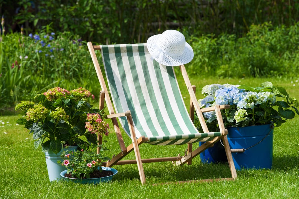 Idyllic,Garden,With,Colorful,Hydrangeas