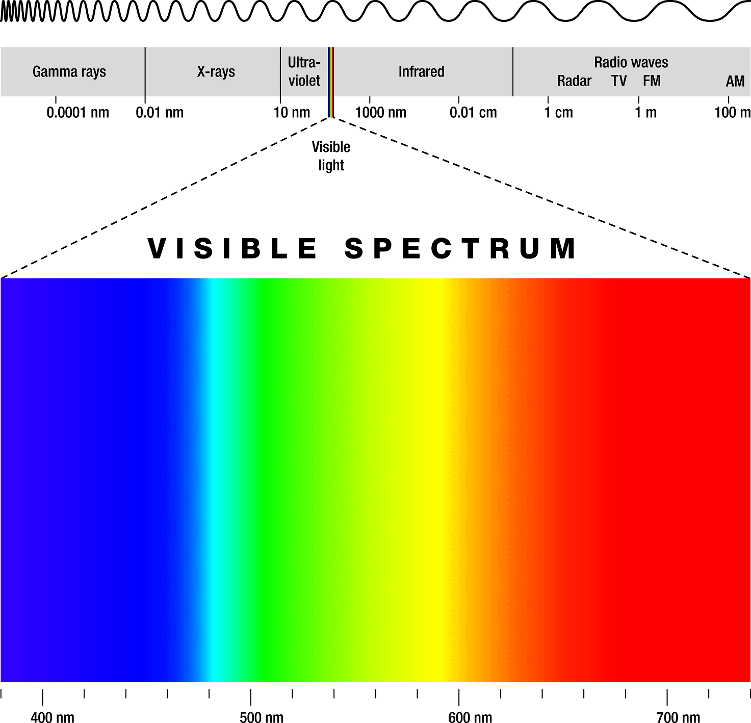 The visible color spectrum is a very small part of the electromagnetic spectrum.